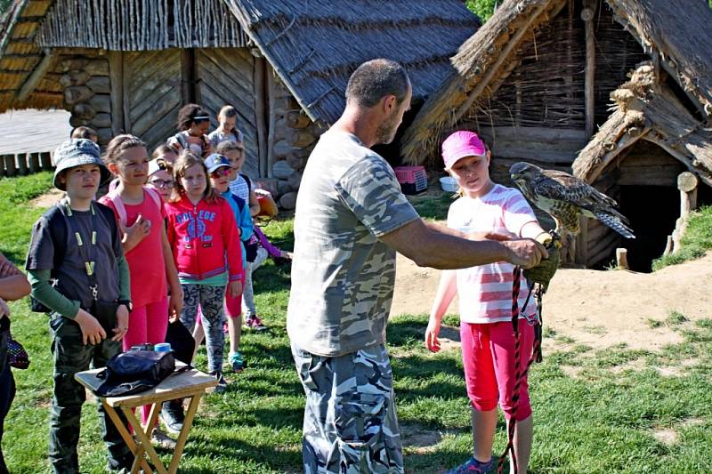 Jubilejního X. ročníku Dne s LČR se zúčastnilo 197 dětí z šesti základních škol v působnosti Lesní správy Buchlovice.