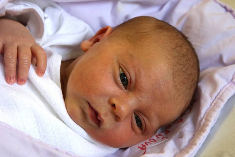 NELA GREBEŇOVÁ, 29.7.2019, 3080 g, 48 cm, Uherské Hradiště