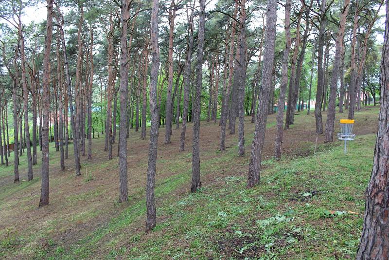 Definitivní umíráček zábavám v dolněmčanském hájku. Proměnili ho v discgolf park.