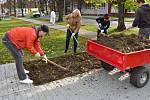 Nové tulipány, krokusy a narcisy zasadila desítka dobrovolníků ze společnosti Hamé v Uherskohradišťské nemocnici. Na přelomu října a listopadu se do zvelebování záhonů a samotného sázení zapojili kromě zaměstnanců i marketingová ředitelka Lenka Vaněk a fi