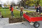 Nové tulipány, krokusy a narcisy zasadila desítka dobrovolníků ze společnosti Hamé v Uherskohradišťské nemocnici. Na přelomu října a listopadu se do zvelebování záhonů a samotného sázení zapojili kromě zaměstnanců i marketingová ředitelka Lenka Vaněk a fi