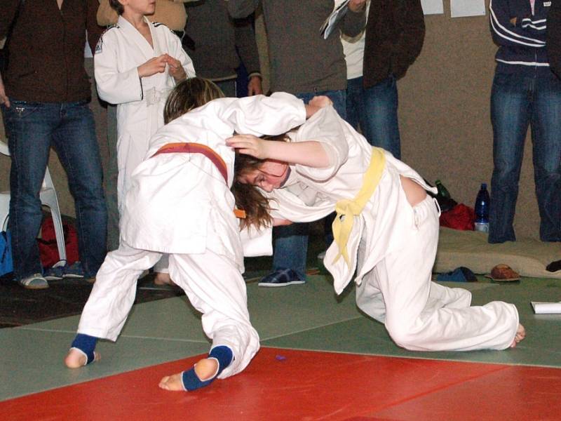 V šemířském sále hradišťské sportovní haly byla k vidění spousta chvatů, děti dávaly do boje všechny své síly.