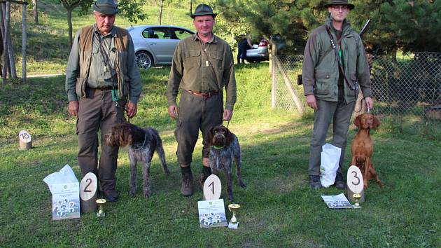 Špičkoví lovečtí ohaři se na Třebíčsku utkají v náročné soutěži