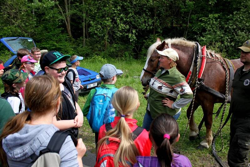 DEN S LESÁKY. Osmého ročníku Dne s Lesy ČR se zúčastnilo 168 žáků z šesti základních škol v okruhu působnosti Lesní správy Buchlovice.