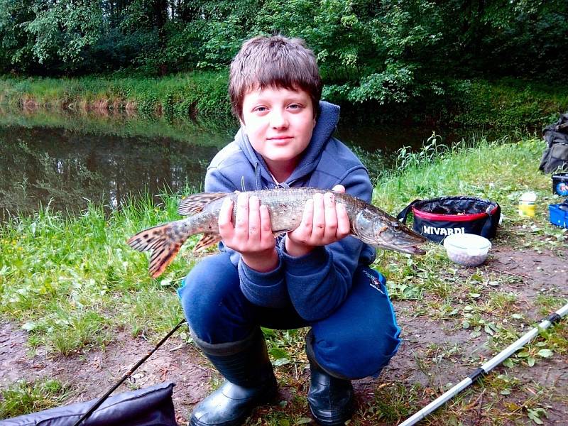 Soutěží číslo 100 – Hynek Machara, štika, 51 cm, nevážena.