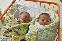 V měsíci květnu se stalo Porodnicko gynekologické oddělení v Uherskohradišťské nemocnici jedním z nejvytíženějších pracovišť. Na svět zde přišlo rekordních 170 dětí.
