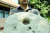 Archeolog Miroslav Vaškových ukazuje část kamenného žernovu, který i s řadou dalších nálezů vydal Holý kopec.