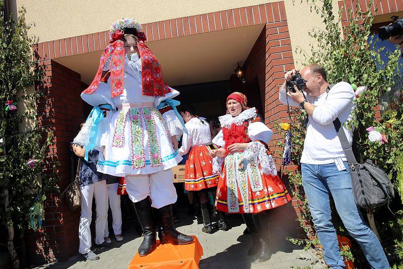 Jízda králů 2017 ve Vlčnově