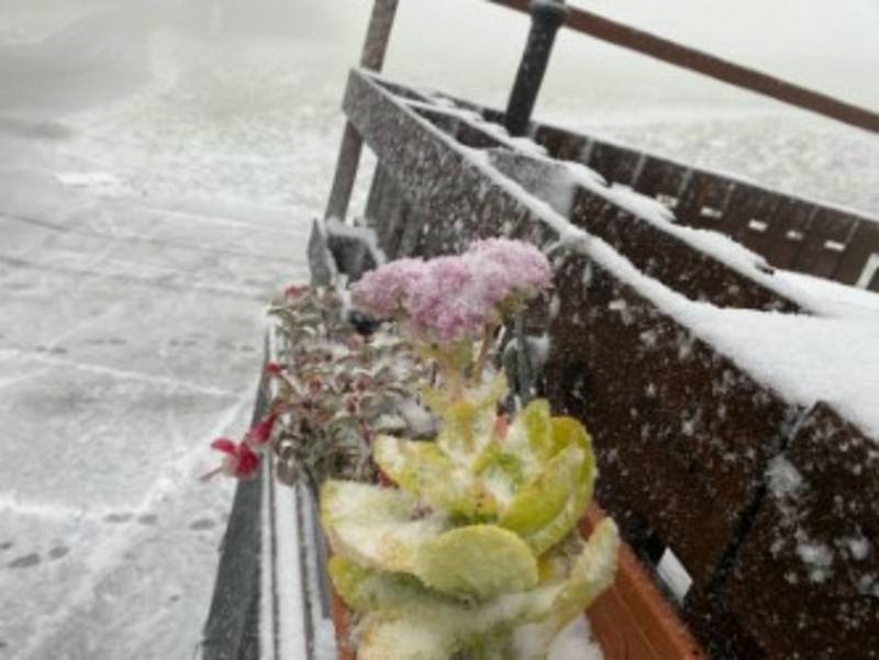 První sněhová peřina v letošní podzimní sezóně pokryla vrcholky Bílých Karpat. O úterním dopoledni sněžilo především na nejvyšším vrcholu pohoří Velké Javořině, sněžení doprovázel silný vítr a také velká mlha.