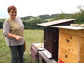 Jiřina Pilátová je autorkou krásných vzpomínek na dětství na Žítkové – a v poslední době také včelařka. 