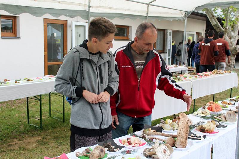 HOUBOVÁ EXPOZICE. Na 13. výstavě hub na Salaši byly k vidění velmi chutné exempláře, ale i houby, které se dají jíst jen jednou.