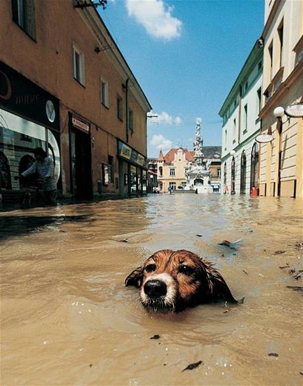 Povodeň v červenci 1997 v Uh. Hradišti. Symbol povodní plave v Prostřední ulici.