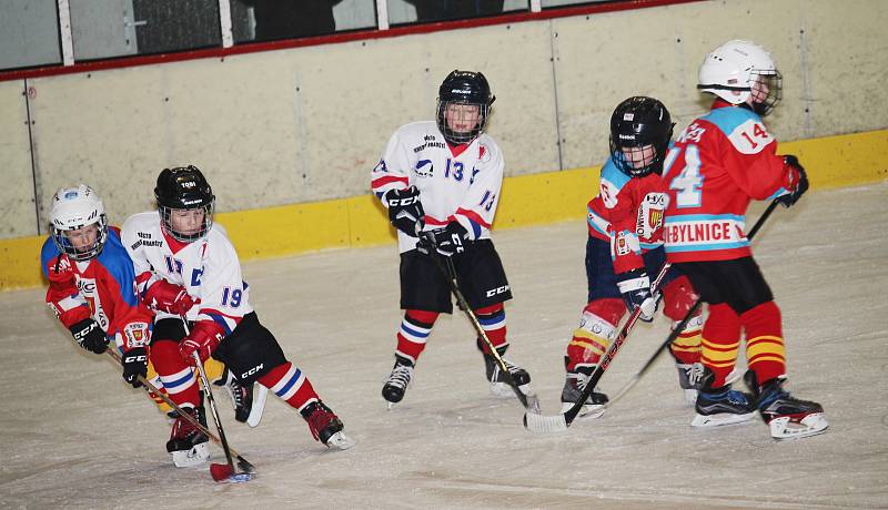 Velká radost ze hry byla vidět na všech malých hokejistech, kteří se v sobotu 18. listopadu zúčastnili v Uherském Hradišti turnaje 2. tříd. Domácím Hradišťanům se dařilo, s Brumovem a Uherským Ostrohem vyhráli všechny čtyři zápasy. (ms)