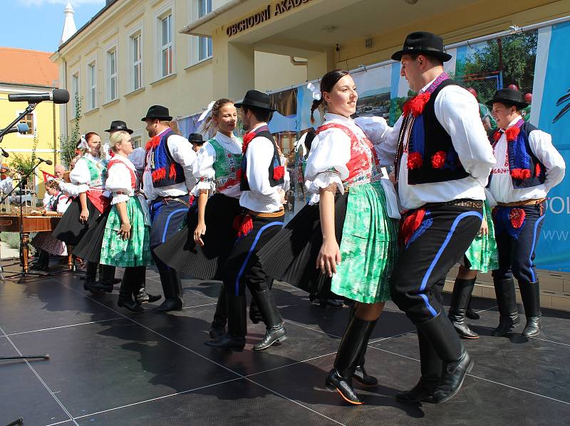 Na Slováckých slavnostech vína se představil i mikroregion Dolní Poolšaví v parku před uherskohradišťskou obchodní akademií.