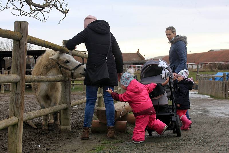 Minizoo ve Starém městě.