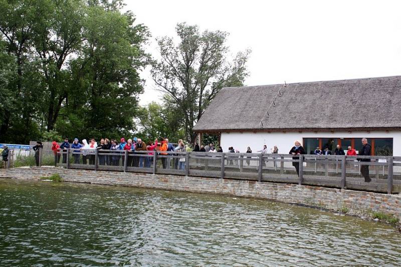 HOSTÉ ZE SLOVENSKA. Sedmdesát zaměstnanců úřadu Slovenské akademie věd a tamního archeologického ústavu přijelo pro určitou inspiraci na Modrou.