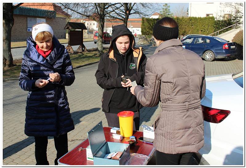 Na vakcínu proti vzteklině nebo i tu kombinovanou přivedli chovatelé malé i velké psy.