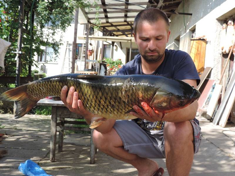 Soutěžní číslo 34 – Michal Tvrdý, amur, 77 cm, nevážen.