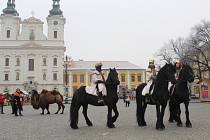 Se třemi králi na koních kráčel Hradištěm  velbloud Paša. Zastavili se i na radnici, kde je přivítal starosta města Stanislav Blaha se svými místostarosty.