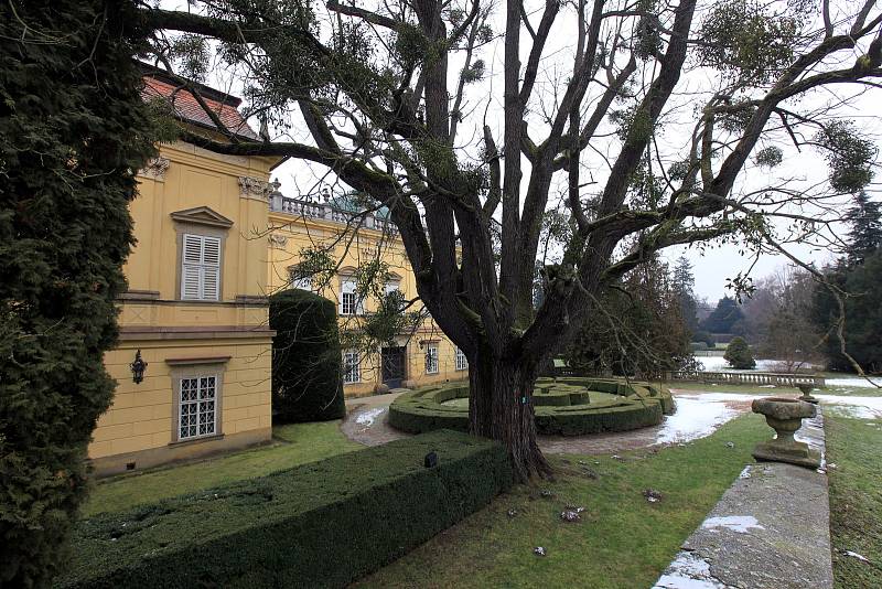 Tradičním zimním úklidem se v těchto dnech chystá na prohlídkovou sezonu státní zámek Buchlovice.
