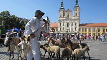 V Uherském Hradišti v sobotu 13. června pokračoval ekologický festival Týká se to také tebe. 