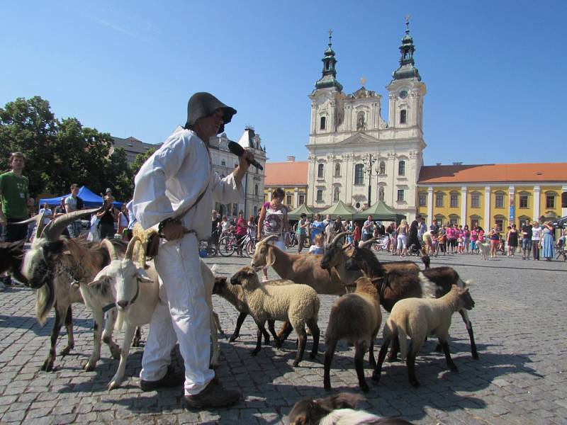 V Uherském Hradišti v sobotu 13. června pokračoval ekologický festival Týká se to také tebe. 