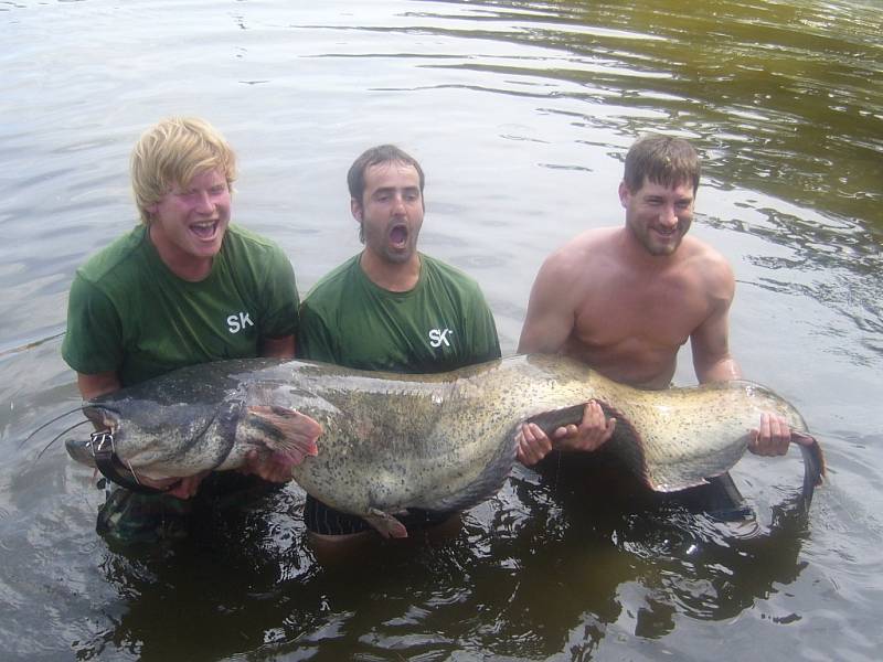 Soutěžní číslo 41 - Tomáš Bakula, sumec velký, 211 cm, 63 kg.