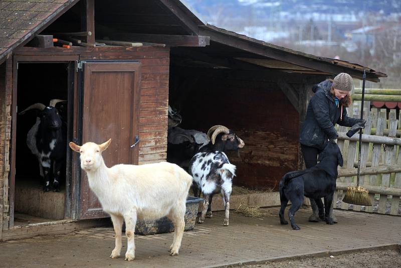 Minizoo ve Starém městě.