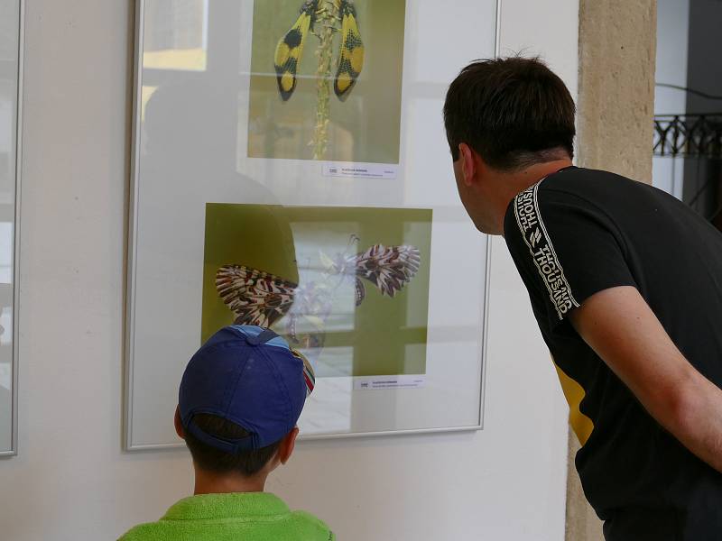 Vrcholem festivalu TSTTT byl 41. ročník Fotografické soutěže