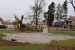 V Nivnici zlomil silný vítr dvaaosmdesát let starou vrbu u místního památníku Komenského.
