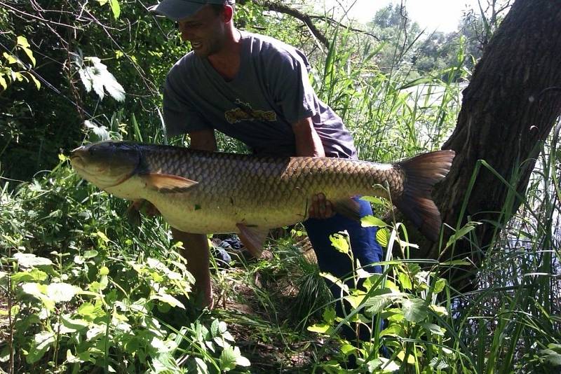 Soutěžní číslo 109: Václav Vach, amur, 121 cm a 27,4 kg.