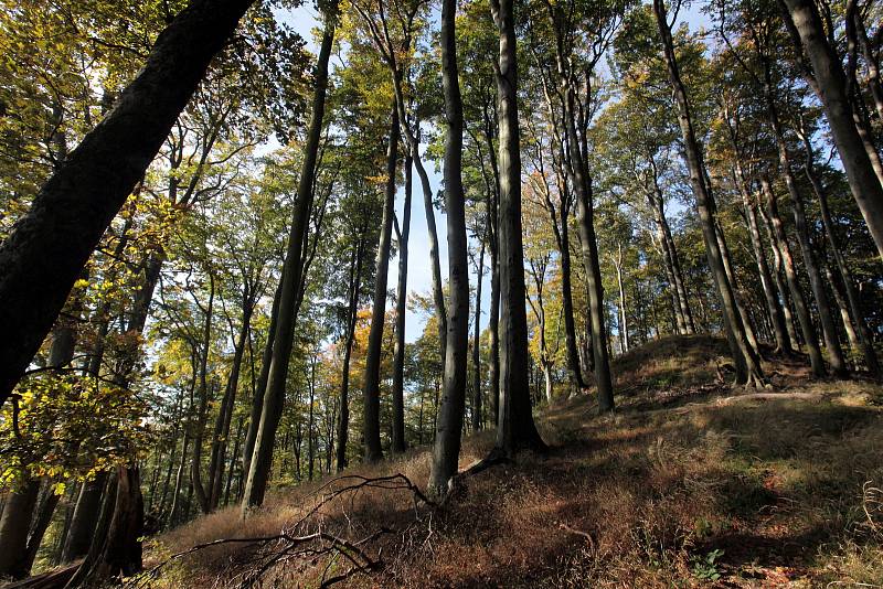 Přírodní rezervace Holý kopec na podzim.