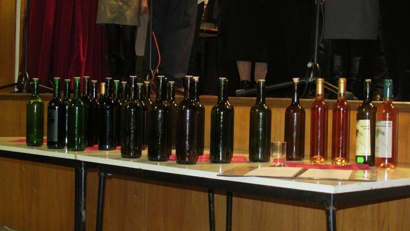 Propojení žehnání vína s vánočním časem nabídl program v Dolním Němčí. 