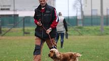 Dvoje zkoušky neboli psí maturitu složilo během čtrnácti dnů na uherskoostrožském cvičišti patnáct majitelů psů.