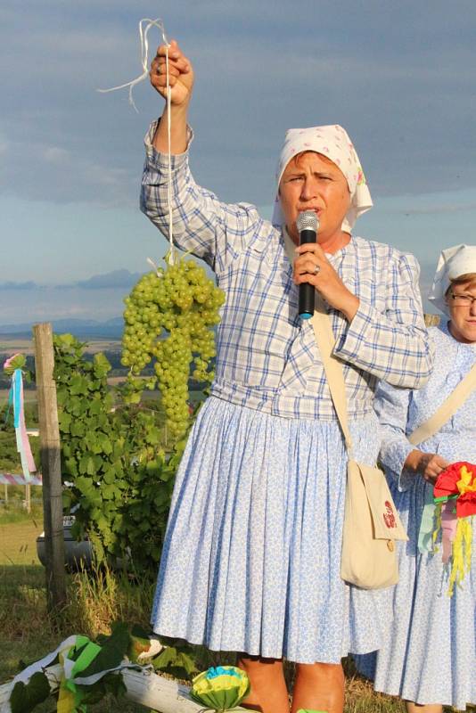 V Polešovicích uzavřeli vinohrady