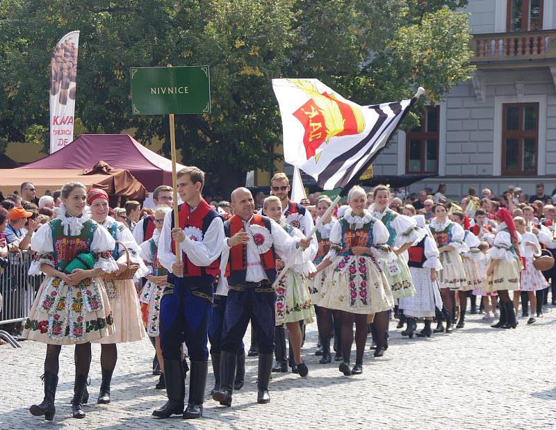 Průvod krojovaných vystartoval z Vinohradské ulice. Po dvoukilometrovém pochodu dorazili folkloristé na zaplněné Masarykovo náměstí.