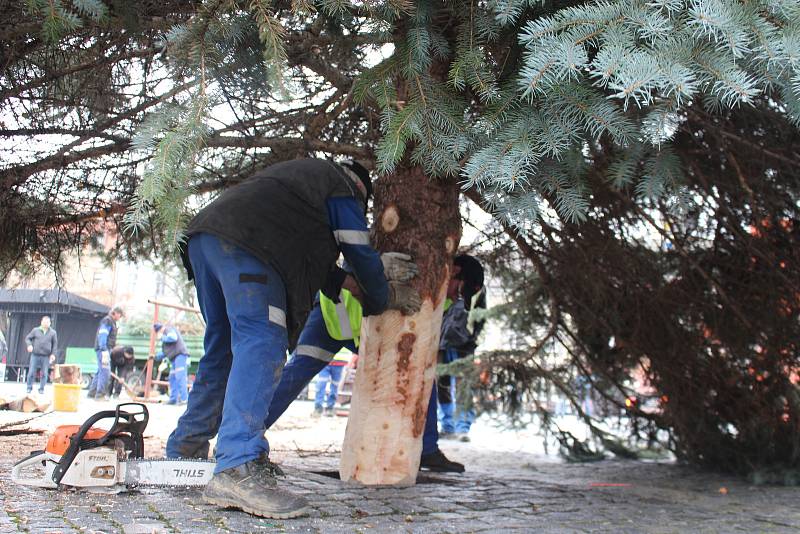 V Uherském Hradišti ve středu 22. listopadu dopoledne vztyčili vánoční strom. Jedná se o třináctimetrový smrk pichlavý, který pochází z ulice Zahradní na sídlišti Štěpnice.