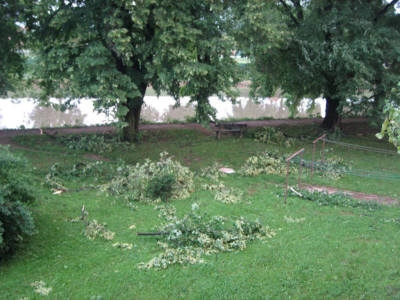 Řádění noční bouřky - lipové stromořadí u řeky Moravy, neděle 13. června 6.00.