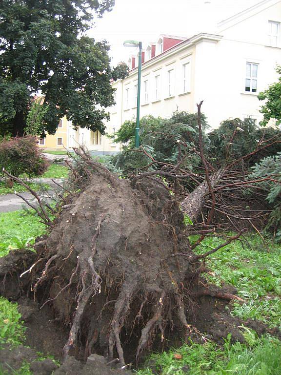 Řádění noční bouřky - park u Obchodní akademie, neděle 13. června 6.00.