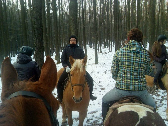 Jezdce na koních v Chřibech ohrožuje neznámý pachatel nataženými dráty.