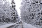 The road to home.  Fabulous snowy nature.