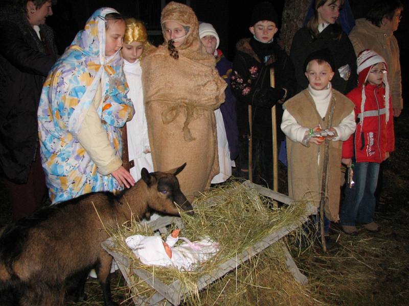 ezulátko zahřívala koza, protože oslík chyběl.