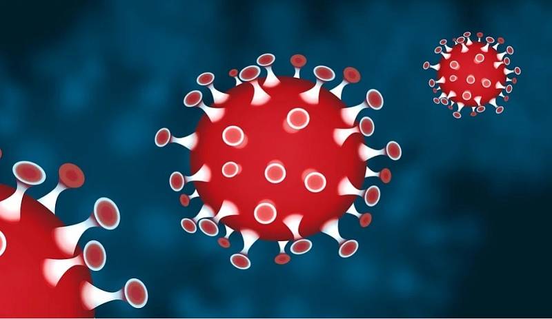 Jedno z ohnisek takzvané jihoafrické mutace koronaviru je podle neurobiologa Omara Šerého z brněnské Masarykovy univerzity v Brně.