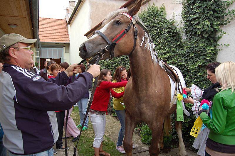 Zákulisí Jízdy králů v Hluku