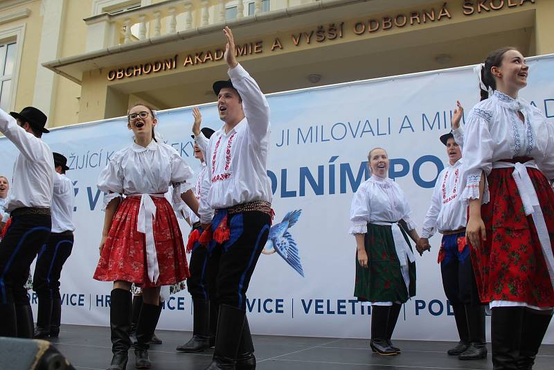 Mirkoregiony se na Slováckých slavnostech vína a otevřených památkách