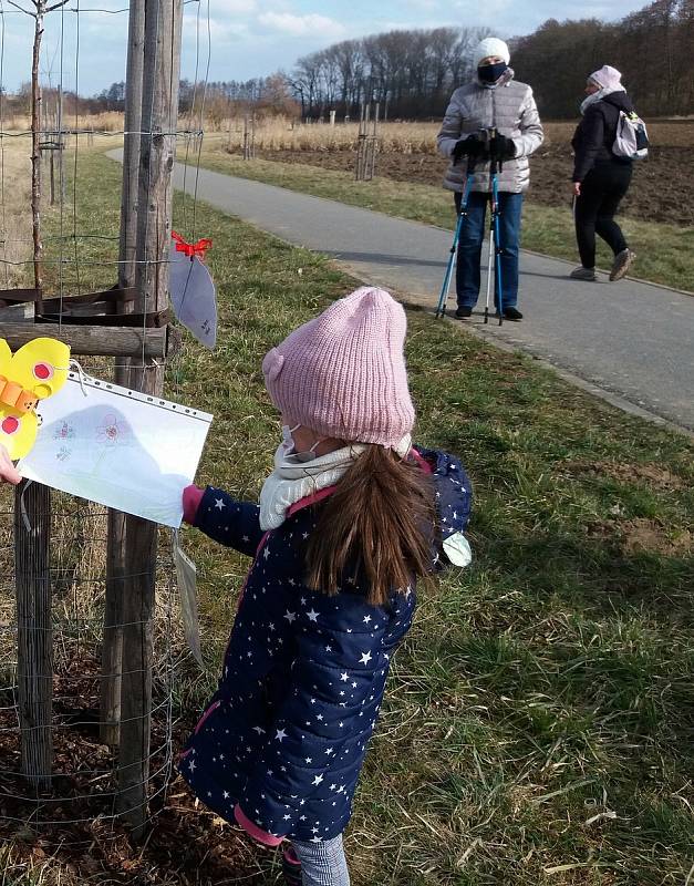 Děti z velehradské mateřinky jablůňky v roce 2019 sadily a nyní je kresbičkami ozdobily.