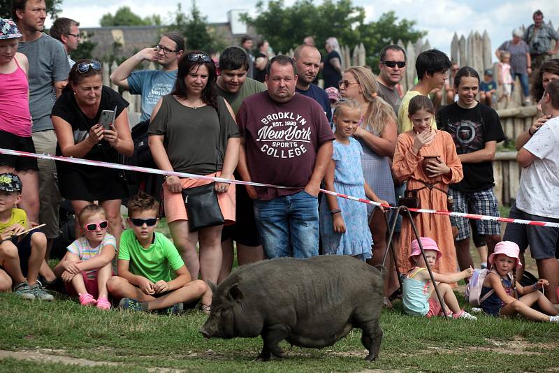 Bitva o Veligrad v Archeoskanzenu Modrá, srpen 2021.