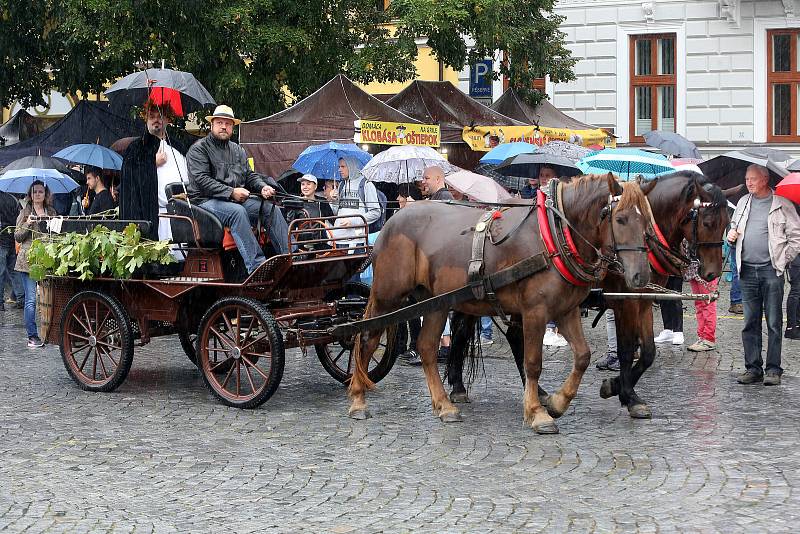 Tradičnímu defilé na Masarykově náměstí nepřálo počasí.