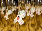 Ve středu 27. prosince se v Dolním Němčí již tradičně světilo mladé víno. Letos za doprovodu mužského sboru Dolněmčané, místního vypravěče Františka Šmída a mladého muzikanta Ondřeje Fibichra.