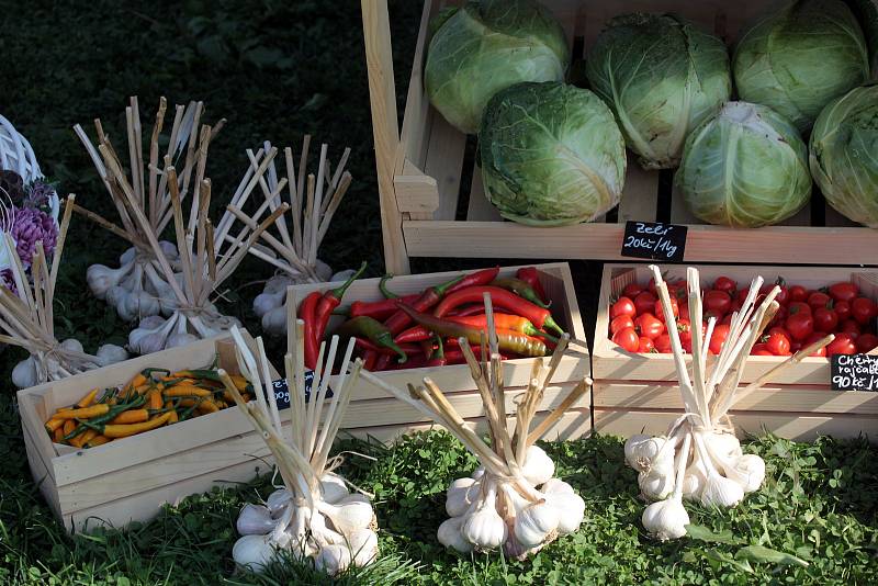 7. ročník Slováckého festivalu chutí a vůní.Skanzen Rochus.